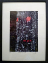 Charger l&#39;image dans la galerie, MARICK - Mort programmée (Photographie) - ART ET MISS