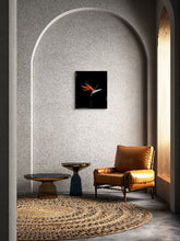 Charger l&#39;image dans la galerie, POTIER Coline - Sublime oiseau (Photographie) - ART ET MISS