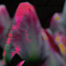 Charger l&#39;image dans la galerie, ADELIA -  Audrey beautiful Lady - Tulipe VII (Photomontage), signature