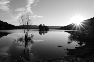 Photographie de Coralie HONNORAT : Chimère