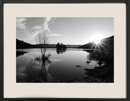 Photographie de Coralie HONNORAT : Chimère, encadré