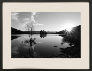 Photographie de Coralie HONNORAT : Chimère, encadré