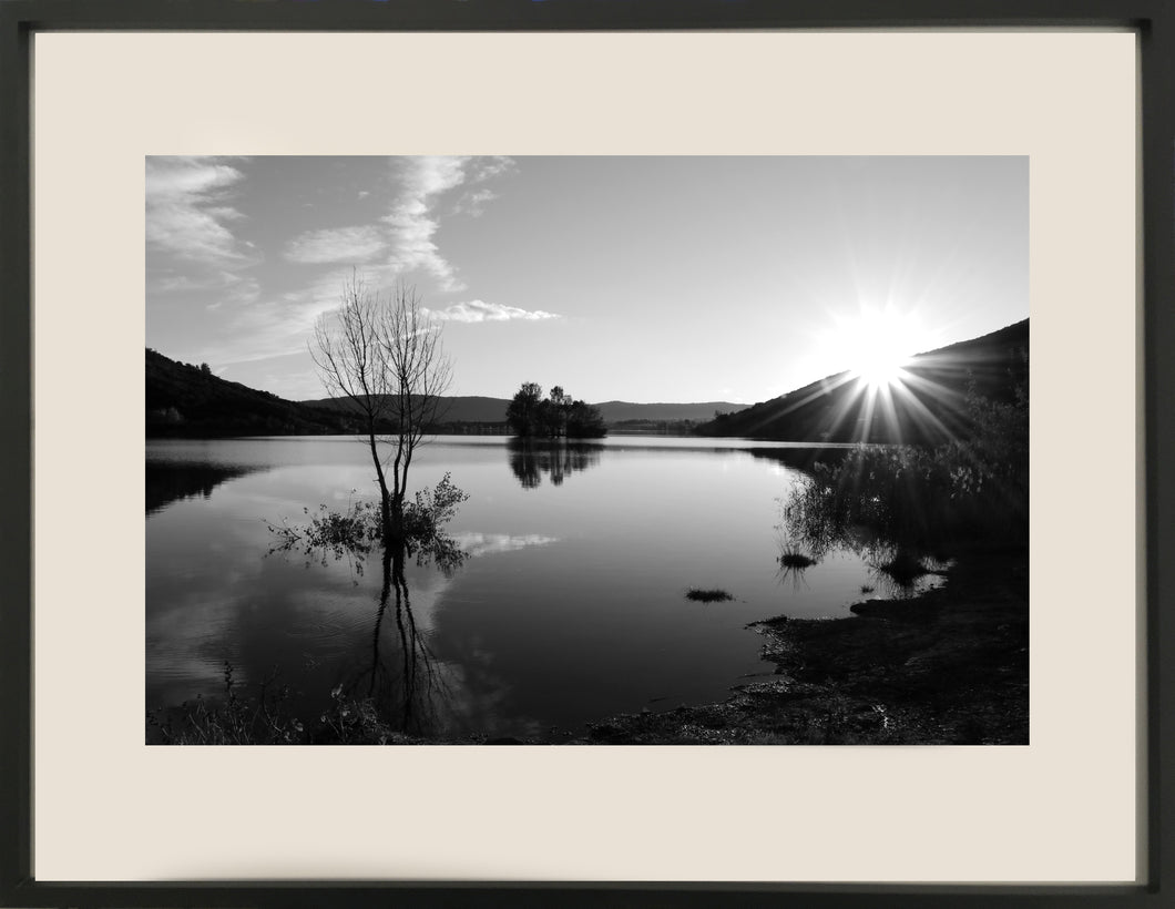 Photographie de Coralie HONNORAT : Chimère, encadré