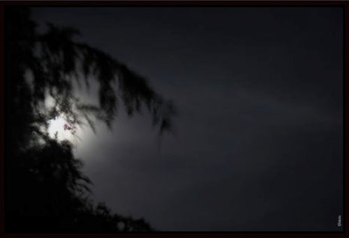 KUHN Benoît - La nuit transfigurée 2, Photographie, cadre