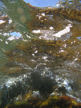 Charger l'image dans la galerie, LAVENAIR Christopher - Marguerite, Photographie