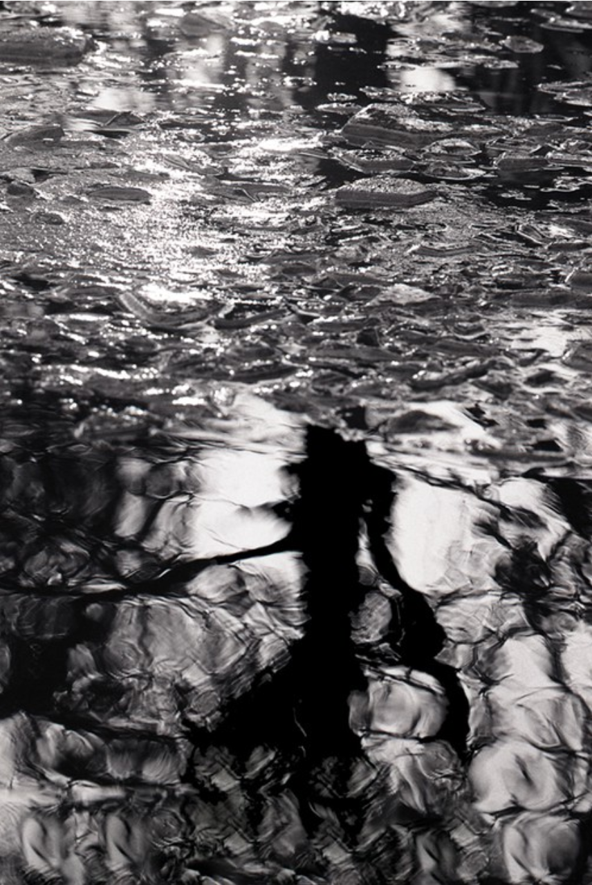 LAZZARI Marie-Fa  : Profondeur insondée (Photographie)