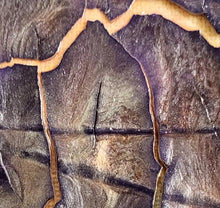 Charger l'image dans la galerie, MAZUREK Véro : 25-11, Tableau abstrait, technique mixte texturée sur toile, détail