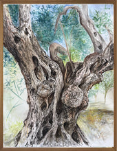 Charger l'image dans la galerie, WOLF Kristina Viera - Olivier 1, Derveni , tableau, aquarelle sur papier, encadré