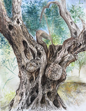 Charger l'image dans la galerie, WOLF Kristina Viera - Olivier 1, Derveni , tableau, aquarelle sur papier