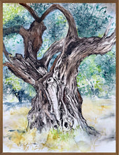 Charger l'image dans la galerie, WOLF Kristina Viera - Olivier 2, Derveni , tableau, aquarelle sur papier, encadré