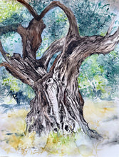 Charger l'image dans la galerie, WOLF Kristina Viera - Olivier 2, Derveni , tableau, aquarelle sur papier