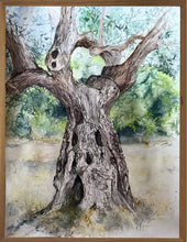 Charger l'image dans la galerie, WOLF Kristina Viera - Olivier 3, Derveni , tableau, aquarelle sur papier, encadré