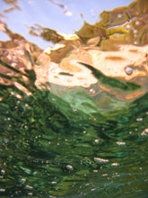 Charger l'image dans la galerie, LAVENAIR Christopher - Green and gold, Photographie