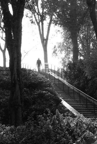 QUIGNETTE Fabrice - Parc de Bercy 1