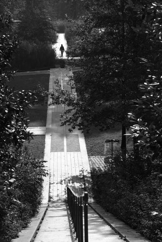 QUIGNETTE Fabrice - Parc de Bercy 2