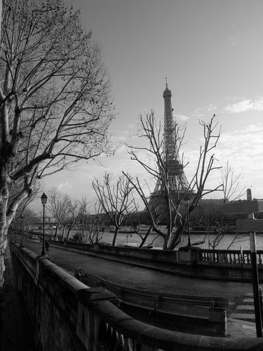 QUIGNETTE Fabrice -Tour Eiffel - 1