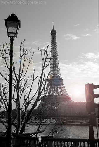 QUIGNETTE Fabrice -Tour Eiffel - 2