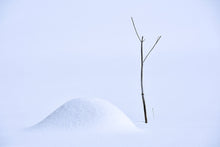 Charger l&#39;image dans la galerie, STOEFFLER Jean-Marc - Promesse neigeuse  (Photographie)