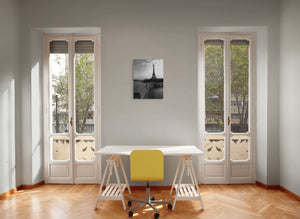 QUIGNETTE Fabrice -Tour Eiffel - 3 , mise en situation