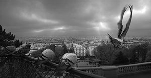 BAZAN Vladimir : Montmartre (Photographie) - ART ET MISS