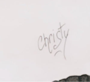 CHRISTY - Beauty on Veil (tableau, Aquarelle, crayon, graphite / papier) - ART ET MISS