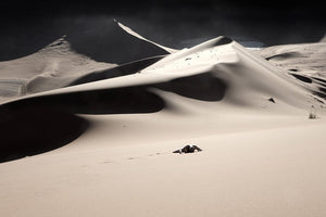 CITOT Vincent - L'homme des sables (Photographie) - ART ET MISS