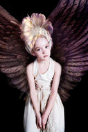 HAEUW Martine - Les Questions de l’Oiseau (Photographie) - ART ET MISS