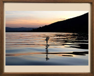 HONNORAT Coralie - Miroir d'eau (Photographie) - ART ET MISS