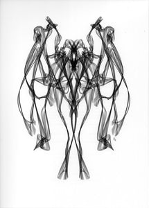 LORK François - Fantastique noir et blanc n°16 ( création numérique ) - ART ET MISS