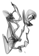 LORK François - Plante N°6 ( création numérique ) - ART ET MISS