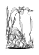 LORK François - Plantes N°1 (création numérique ) - ART ET MISS