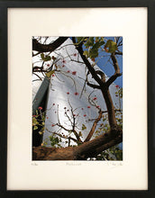 Charger l&#39;image dans la galerie, MARICK - Archinox (Photographie) - ART ET MISS