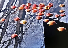 Charger l&#39;image dans la galerie, MARICK- Bain de pommes (Photographie) - ART ET MISS