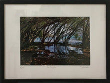 Charger l&#39;image dans la galerie, MARICK - Le bayou (Photographie) - ART ET MISS