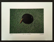 MARICK- Plat de lentilles (Photographie) - ART ET MISS