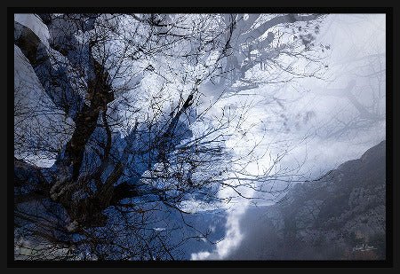 MAZARÉ Edouard - Blue (Photographie) - ART ET MISS