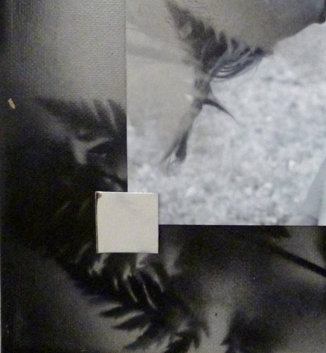 TAARNBERG Line : série ”Adam et Eve” 1 - 2/3 (Photographie et collages) - ART ET MISS