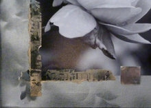 Charger l&#39;image dans la galerie, TAARNBERG Line : série ”Love is in the air” 4 - 1/1 (Photographie et collages) - ART ET MISS
