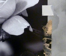 Charger l&#39;image dans la galerie, TAARNBERG Line : série ”Love is in the air” 4 - 1/3 (Photographie et collages) - ART ET MISS